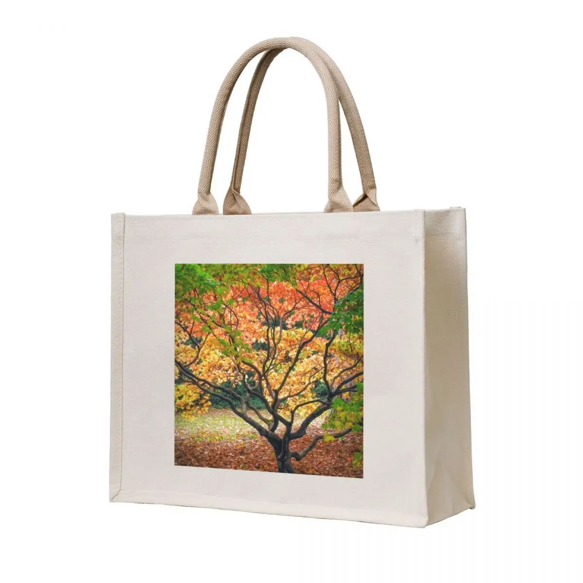 

The Acer Glade - Westonbirt Arboretum Tote Bag shopper bags for women bags for women Women's bag Shopping bags