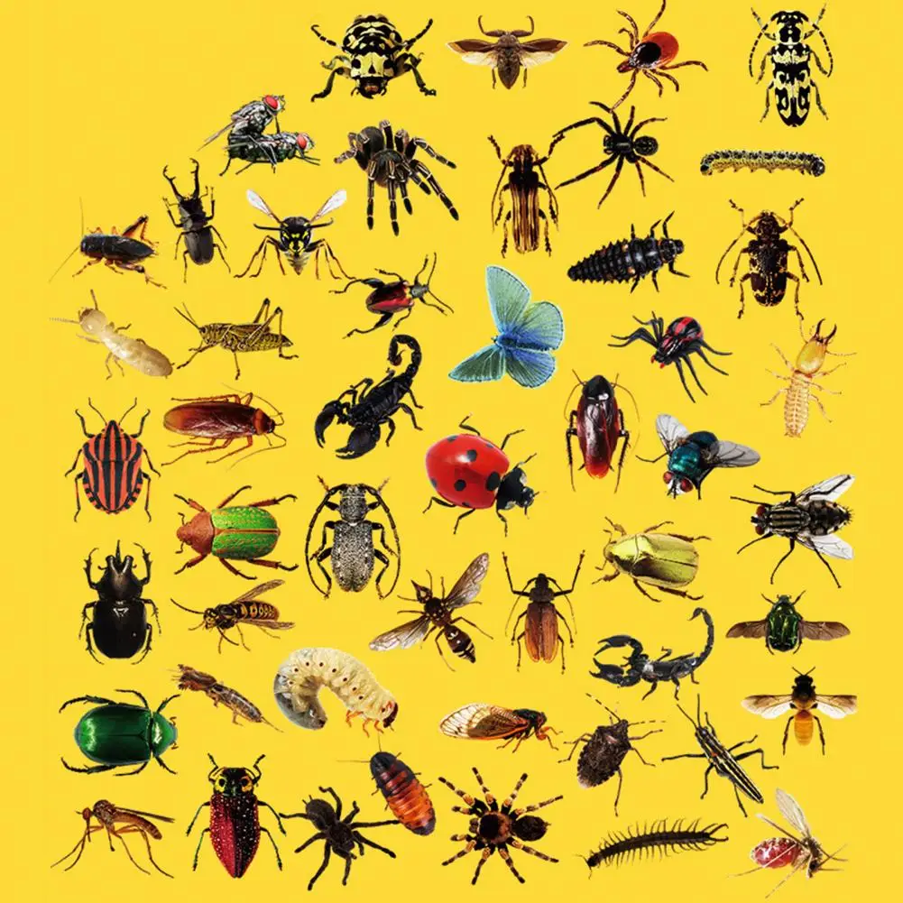 Removable Sticker Sticker Set 50-piece Set of Realistic Stickers Waterproof Pvc Decals for Diy Luggage Skateboards Scrapbooks