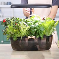 Plant Growing System 12 Pod Hydroponics Growing Machine LED Grow Light Germination Kit for Household Gardening Vegetation