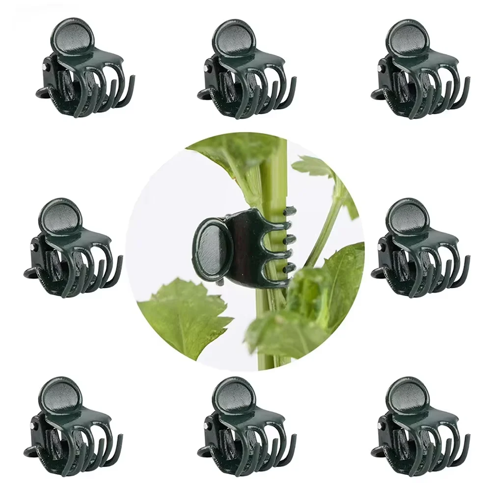 100-Pack Orchid Clips Dark Green Plant Support Garden Flower Vine Clips Supporting Stems Vines Stalks Grow Upright  Flowers