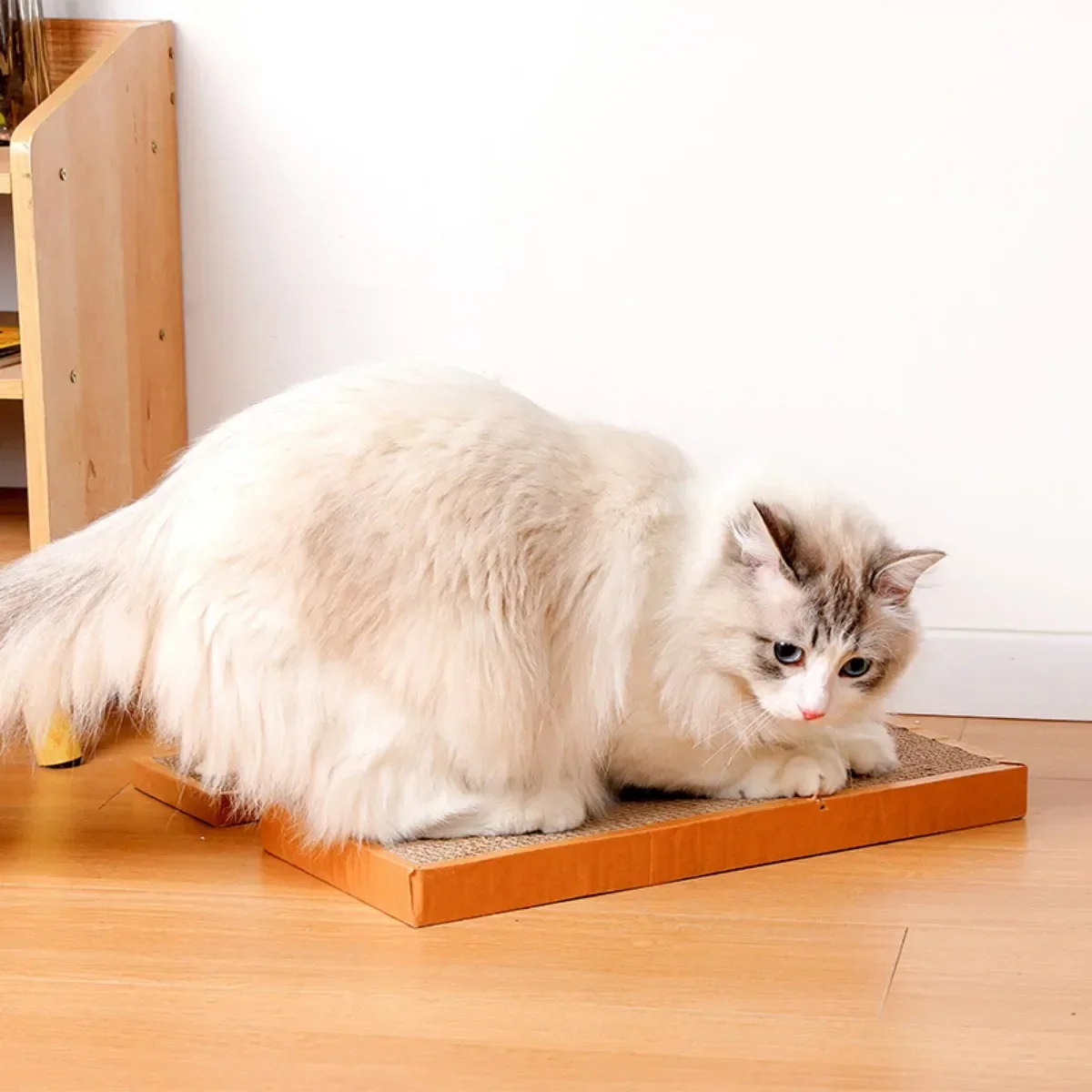 Cat Flat Scratching Board Toys Hard Scratch Resistant Teaser Toy Corrugated Cardboard Scratcher Carton Grinding Claws Pet Toy