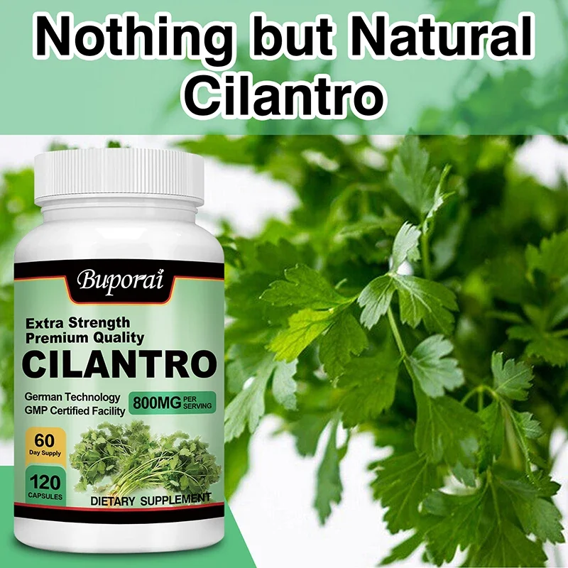 Cilantro Supplement - Rich Source of Antioxidants - Natural Cleansing & Detox