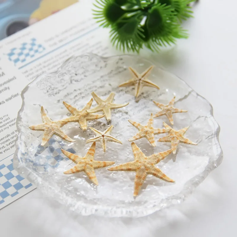 

20 Pcs Dripping Decoration Aromatherapy Accessories Conch Beach Theme Epoxy