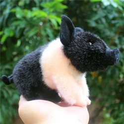 Simulated Animal Little Pig GuangXi Bama Mini Wild Boar Piggy Family Pet Farm Garden Model Plush Toy Stuffed Doll Girl Boy Gift