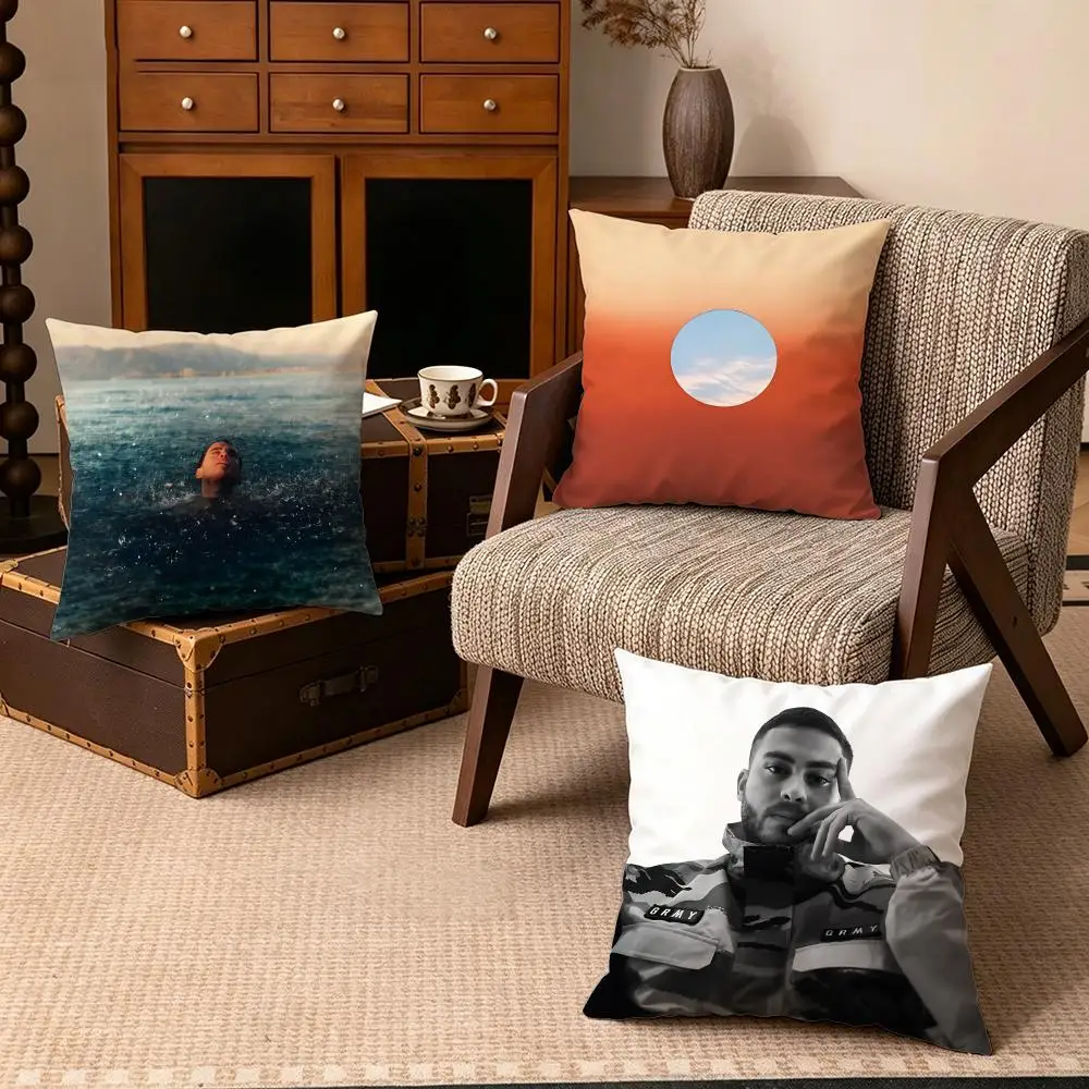 Celebrity-DelaossaS Cushion Cover Soft Velvet Cushion Cover Set 4Pcs 50x50 45x45 Zipper Pillowcase for Home Decor