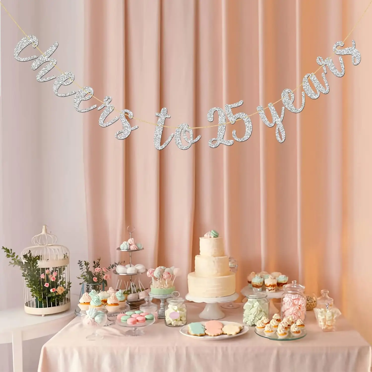 Glitter Silver Cheers to 25 Years Banner - 25th Birthday Sign Bunting 25th Marriage Anniversary Party Bunting Decorations - view 4