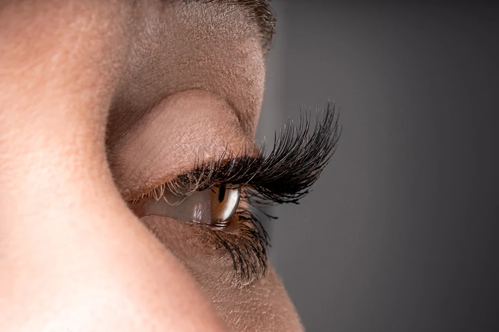 Clavier Fächerförmige Wimpern Außergewöhnliche natürliche Tuft Lash 10D Individuelle Cluster-Wimpernverlängerung Professionelles Make-up Zilien – Detail 4