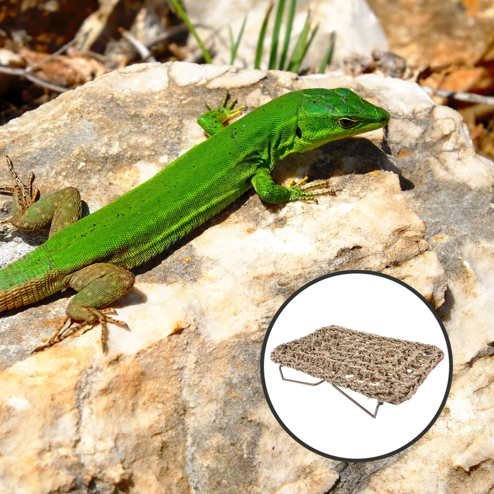 

Reptile Lizard Lounger Bed Woven Straw Design For Bearded Dragon Gecko Sleeping Rest Play Area Reptile Pet Accessory