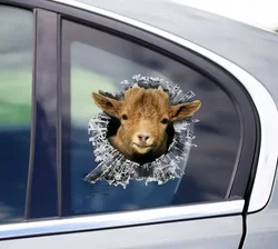 Pygmy Goat window decal, Pygmy Goat car sticker, goat car decal