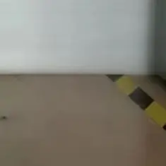 

Вертикальный барабанный смеситель для сухих порошков из нержавеющей стали (миксер-блендер)