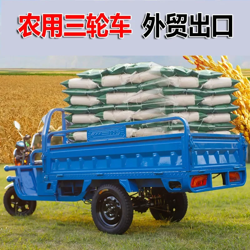 High Power Electric Tricycle for Delivery and Household Use Small Scale Cargo Trike with Strong Climbing Ability Export
