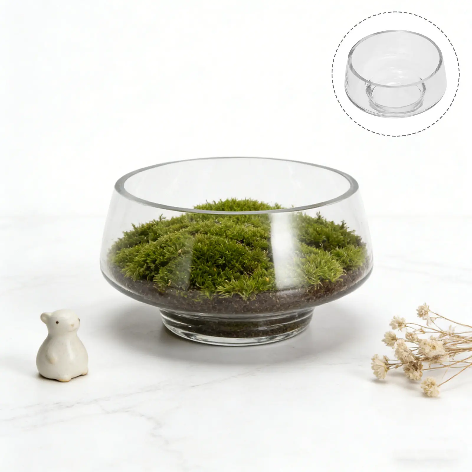 

Стеклянная ваза-террариум для мха с широким горлышком, контейнер для микроландшафта, для гидропонных растений, мха, папоротника, суккулентов