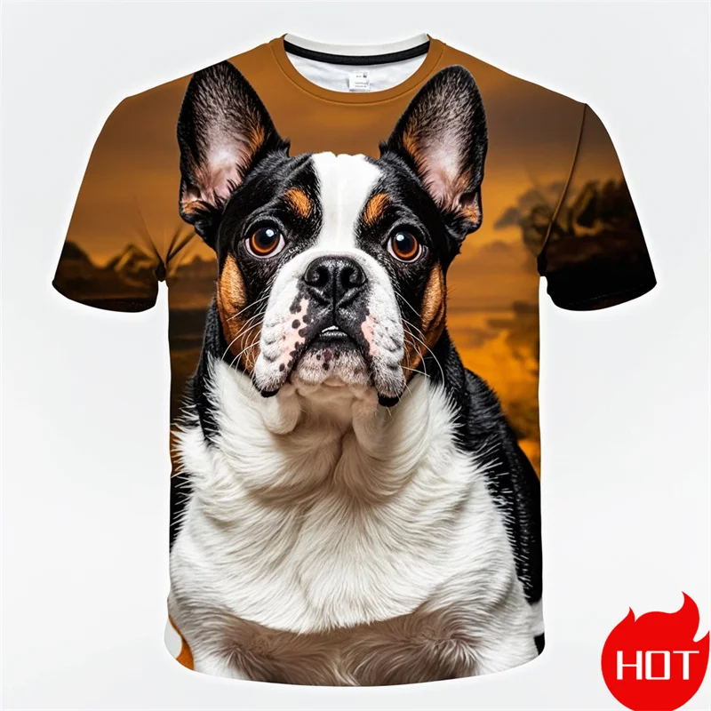 Fashion 3D Cute Doge Boston Terrier Printing T Shirt Kid Funny Streetwear Short Sleeves Unisex Harajuku Tee Shirts Mens Clothing