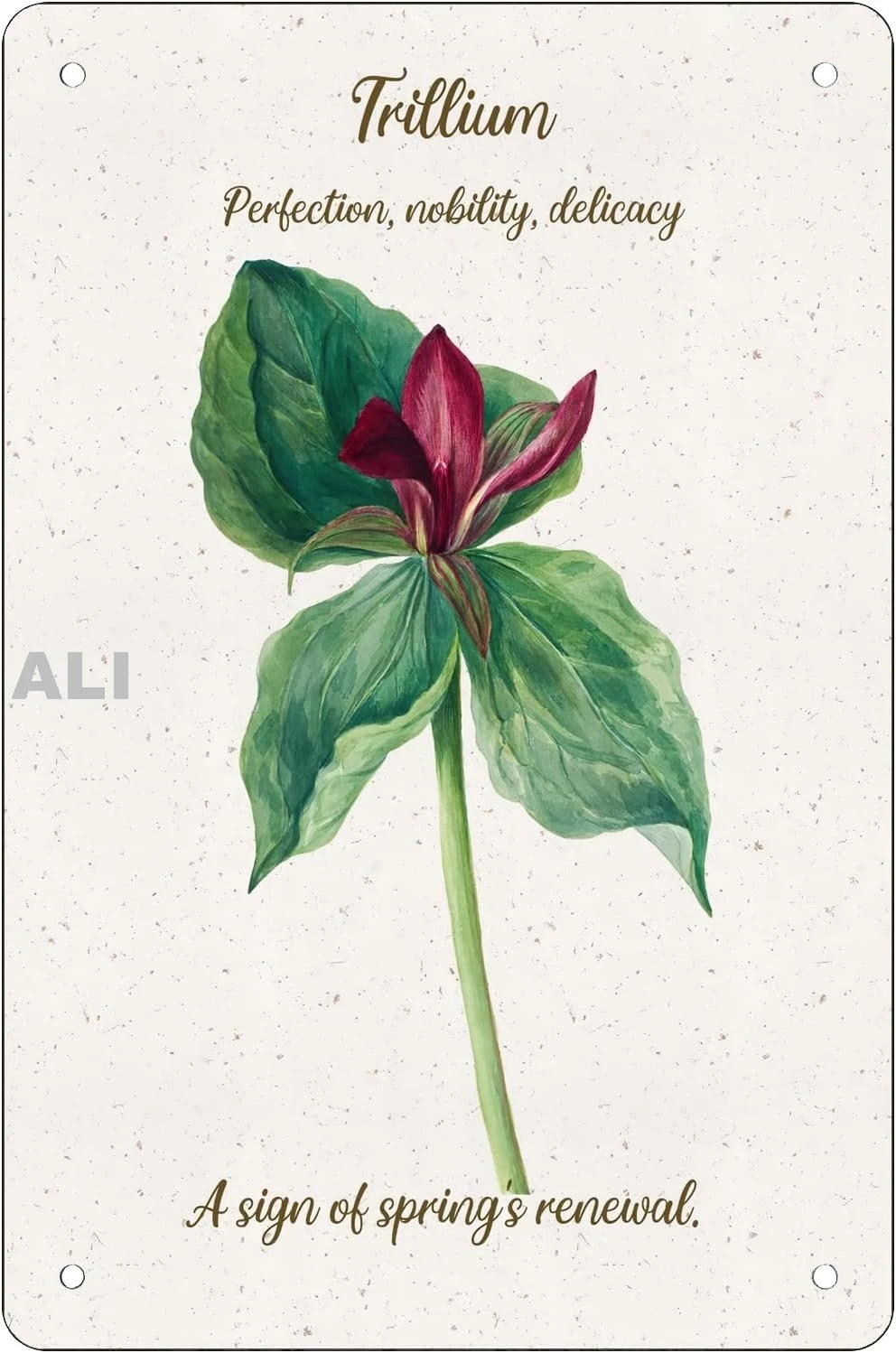 Retro Funny Metal Sheet Signs Trillium Flower Language, Wall Decoration, size:8 x 12 66 sign