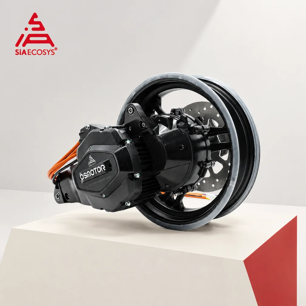 QSMOTOR Side-Mounted 5000W QSX155A-46H Motor Assembly 6100RPM 46H Magnet High Speed IP67 for Dirt Bike