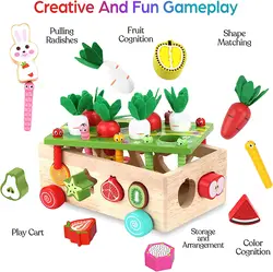 Toddlers Montessori Wooden Educational Toys for Baby Boys Girls Age 1 2 3 Year Old, Shape Sorting Toys 1st One First Birthday Gi