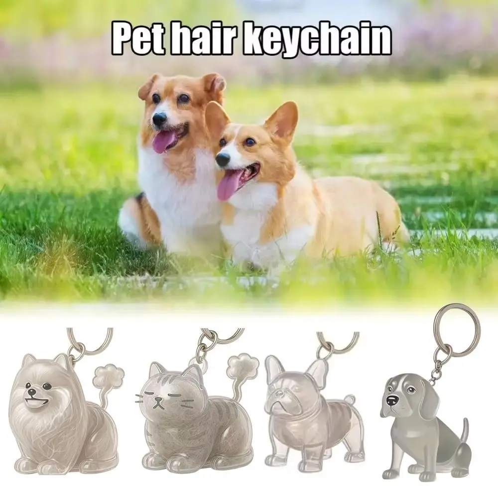 Cartoon Dog Shape Dog Hair Storage Box Hair Grooming Transparent Pet Hair Keychain Acrylic Keyring Puppy Pendants Jewelry Gift