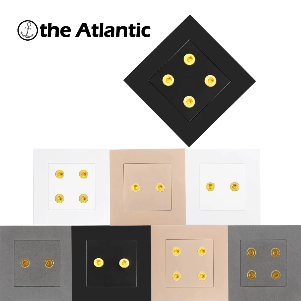 Wall Socket Audio Socket Terminal Power Socket Socket Function Music Switch Sound And Audio Connection Port 110V-250V