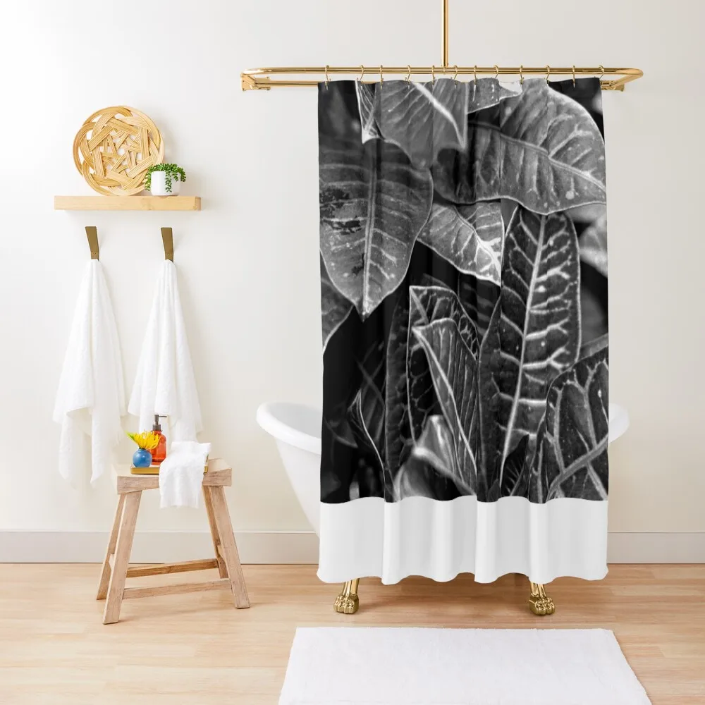 

leaves in black & white Shower Curtain Shower For Bathroom Set Bathroom Fabric For Bathroom Shower For Bathrooms Curtain