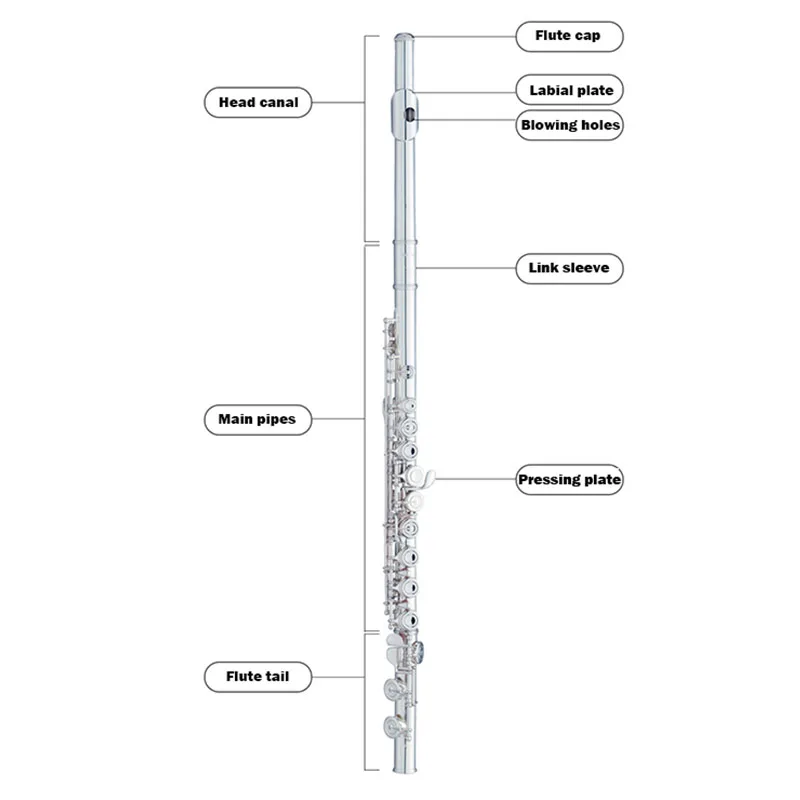 Silvery 16 Hole Flute Silver Alloy Transverse Flute Professional Traditional Musical Instruments Flute Adults Free Accessories