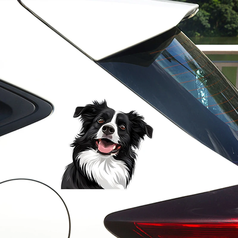 15cm 1PC Cool Border Collie Waterproof Vinyl Decal Sticker for Cars Laptops Walls Windows Bumper External Accessories Decor