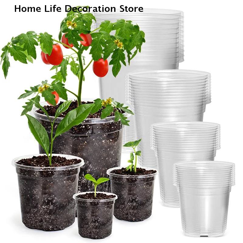 【TG】5 Macetas Transparentes de Plástico para Vivero de 3-6 Pulgadas, con Orificios de Drenaje, para Semillas y Plantas