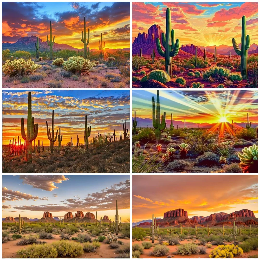 

Desert Cactus National Park Backdrop Natural Scenery Photography Background Sunset Glow Room Decor Party Supplies