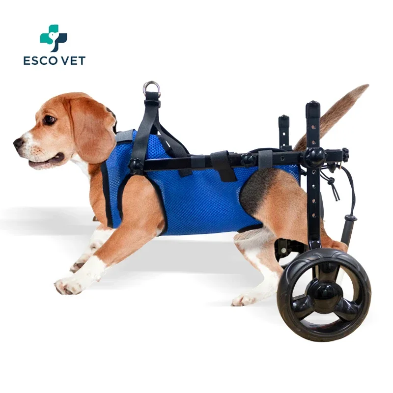 

2 Wheels Dogs Cart With Bad Front And Back Legs Small Pet Rear Leg Cart Support Used Of Disabled Dog