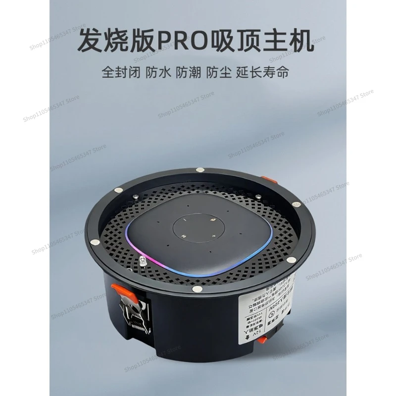 For Audiophile Version PRO Ceiling Speaker with Bluetooth WIFI Built-in Control Smart Home Speaker