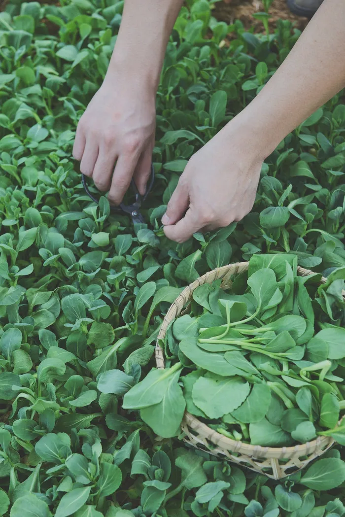 

Guide Wheel Assembling And Removing Ball Bearing For Tamiya MINI 4WD Professional Disassembly Race Refit Accessories Tool