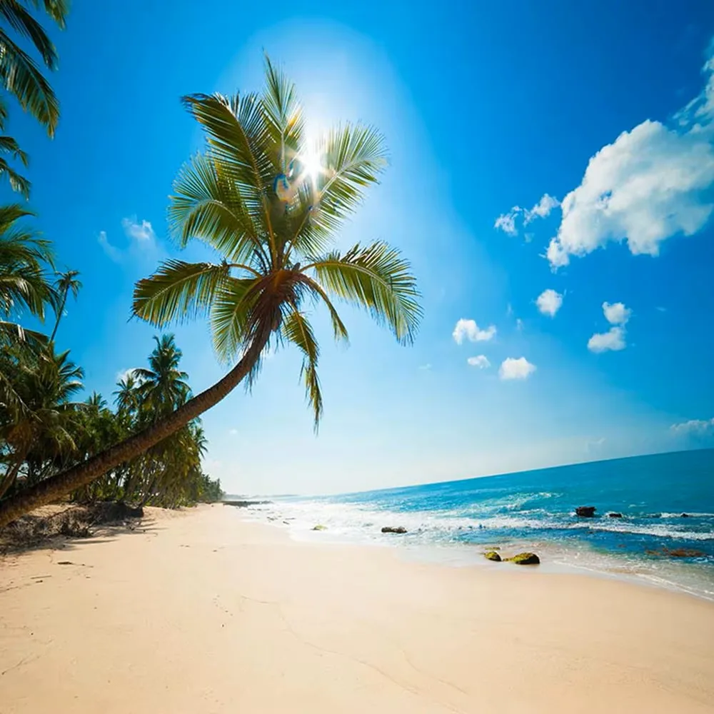 

Cymbozin Beach Wedding Photography Backdrops Palm Trees Blue Sky Kids Summer Holiday Seaside Scenic Photo Studio Background