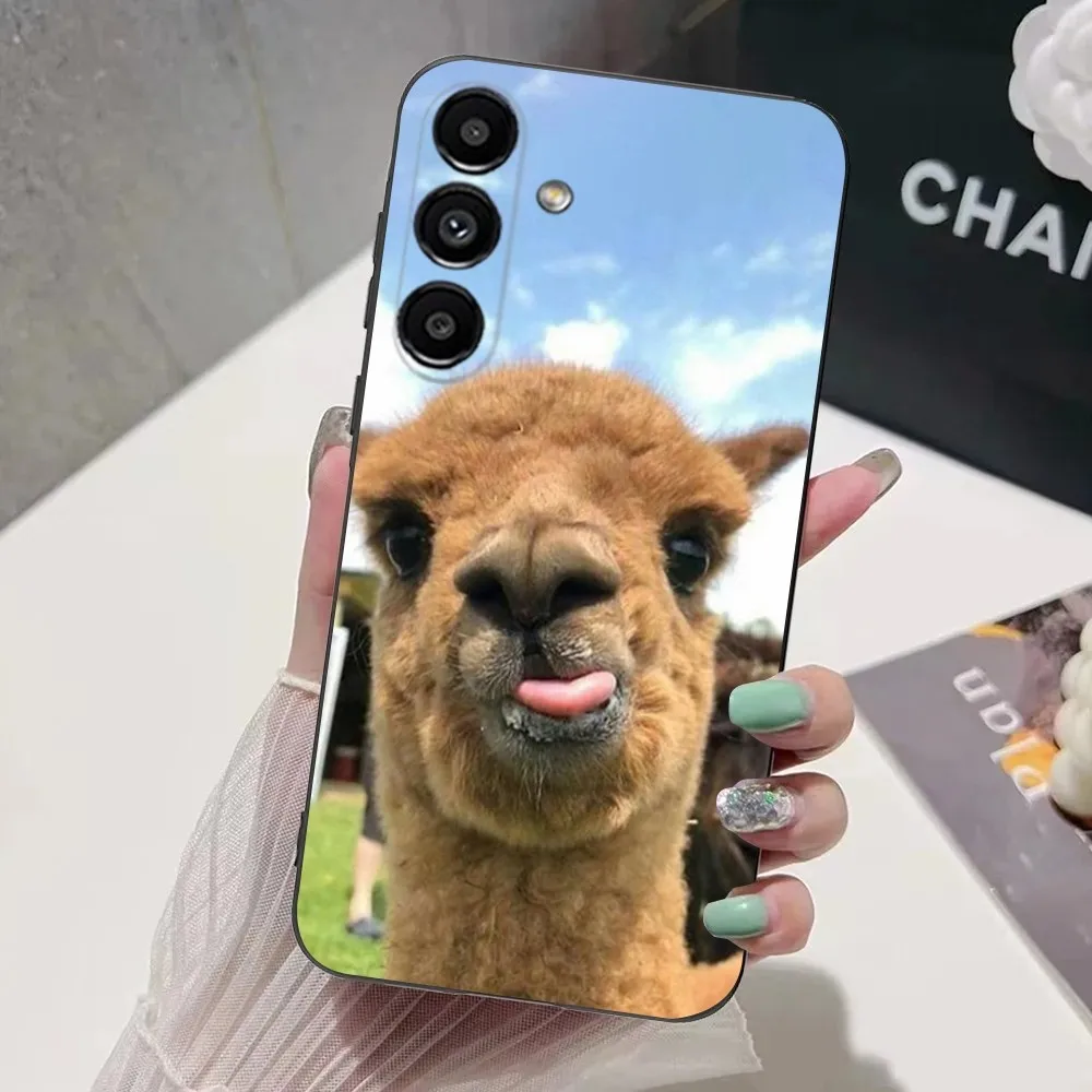 Lama Llama Alpaca  Phone Case For Samsung S24,S21,S22,S23,S30,Ultra,S20,Plus,Fe,Lite,Note,10,9,5G Black Soft Cover