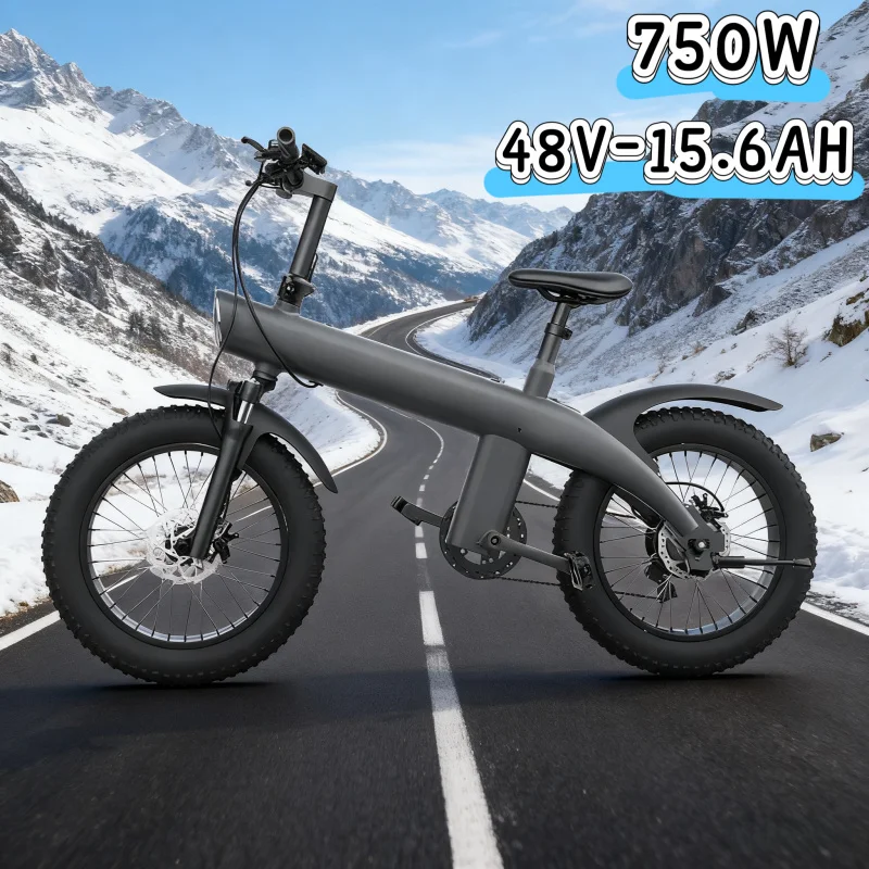 

Electric bicycle 20-inch tires, 750W 48V 15.6AH equipped with high performance, labor-saving and durable E-bike
