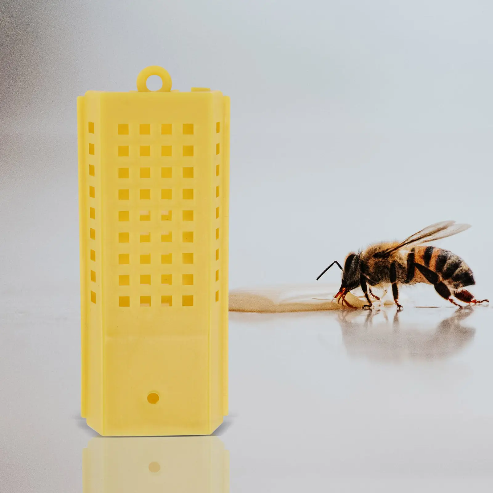 20Pcs Cage Multi-Function Bee Tool Safe Ergonomic Design for Queen Capture Feeding and Beekeeping Operations