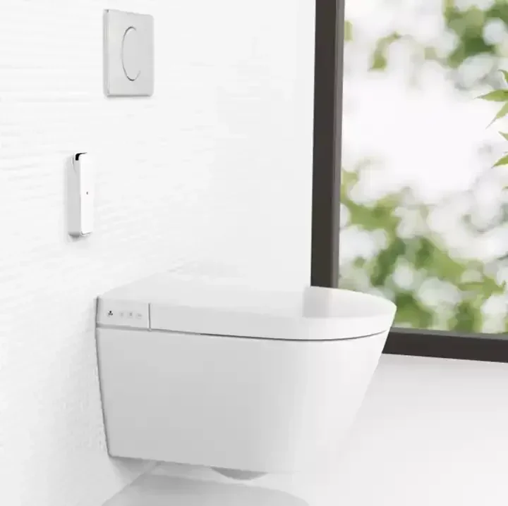 

Watermark Smart Toilets Concealed Cistern Inodoro Wall Hung Ceramic Toilette Wash Down P-Trap Hanging Toilets