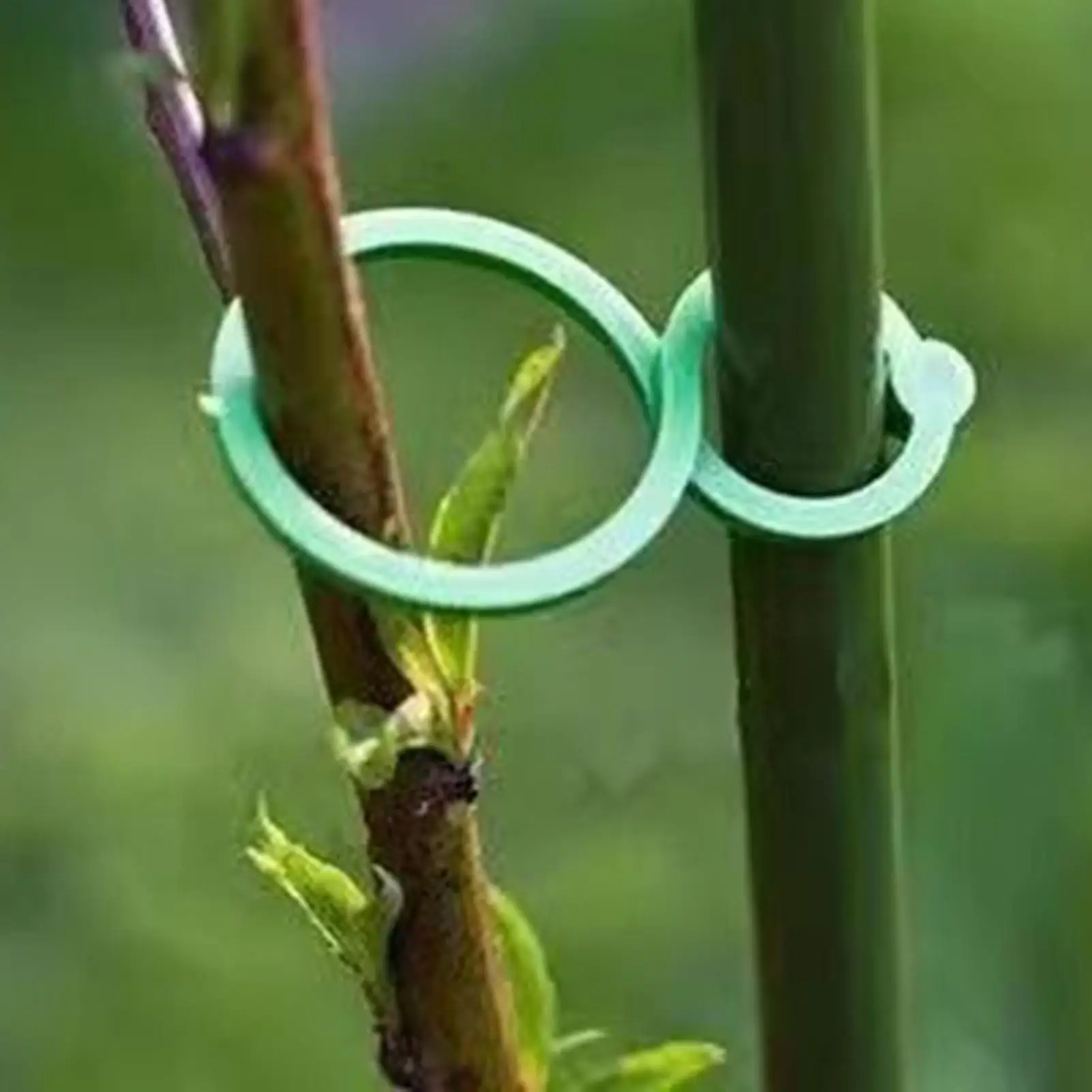 100Pcs Garden Plant Clips For Vegetable Growing Upright Plant Holder Green Plastic Bundled Ring Garden Stand Tool Vine Support