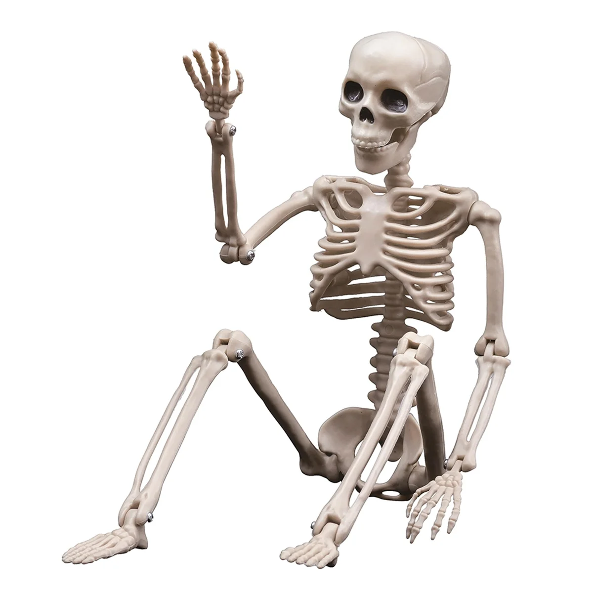 Halloween Skeletons Decorations, Posable Plastic Skeleton, Full Body Skeleton with Movable Joints