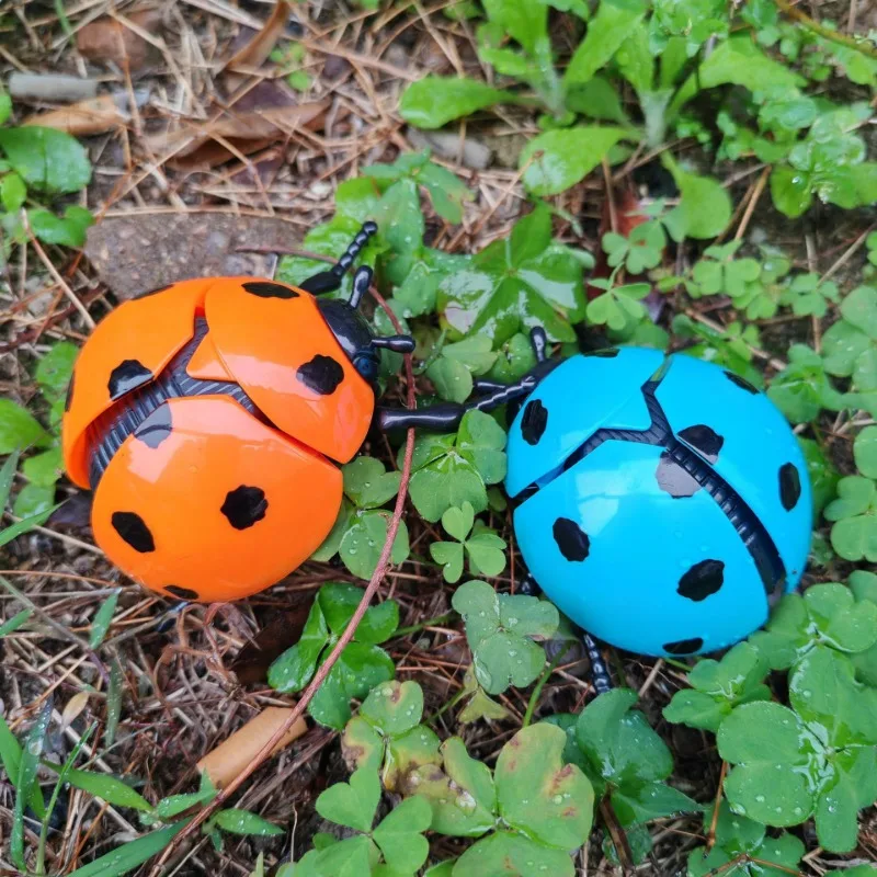 Fun winding ladybug simulation animal clockwork toys creative Beetle decompression decompression small toys Christmas gifts.