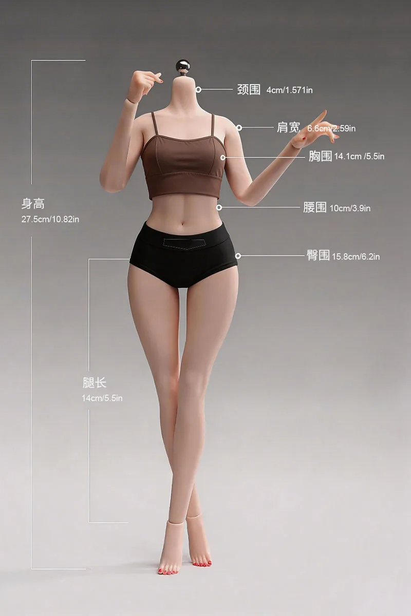 YM501 YM503 YM505 YM506 YM507 YM508 YM610 YM611 1/6スケール 女性用