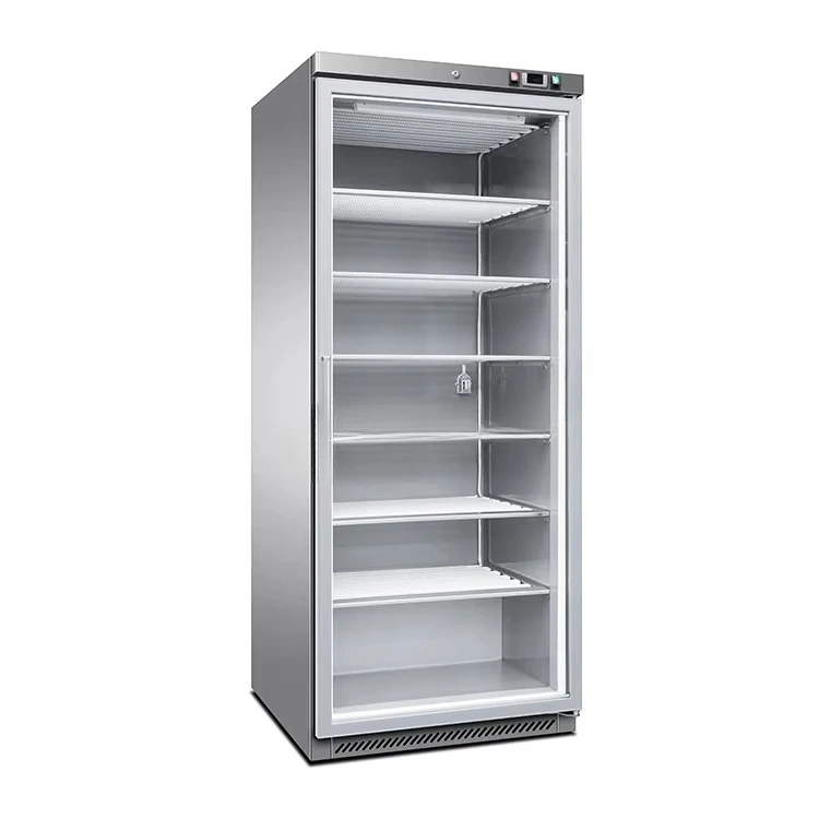 Led Light Vertical Display Cooler and Glass Door Refrigerator Commercial Catering Equipment
