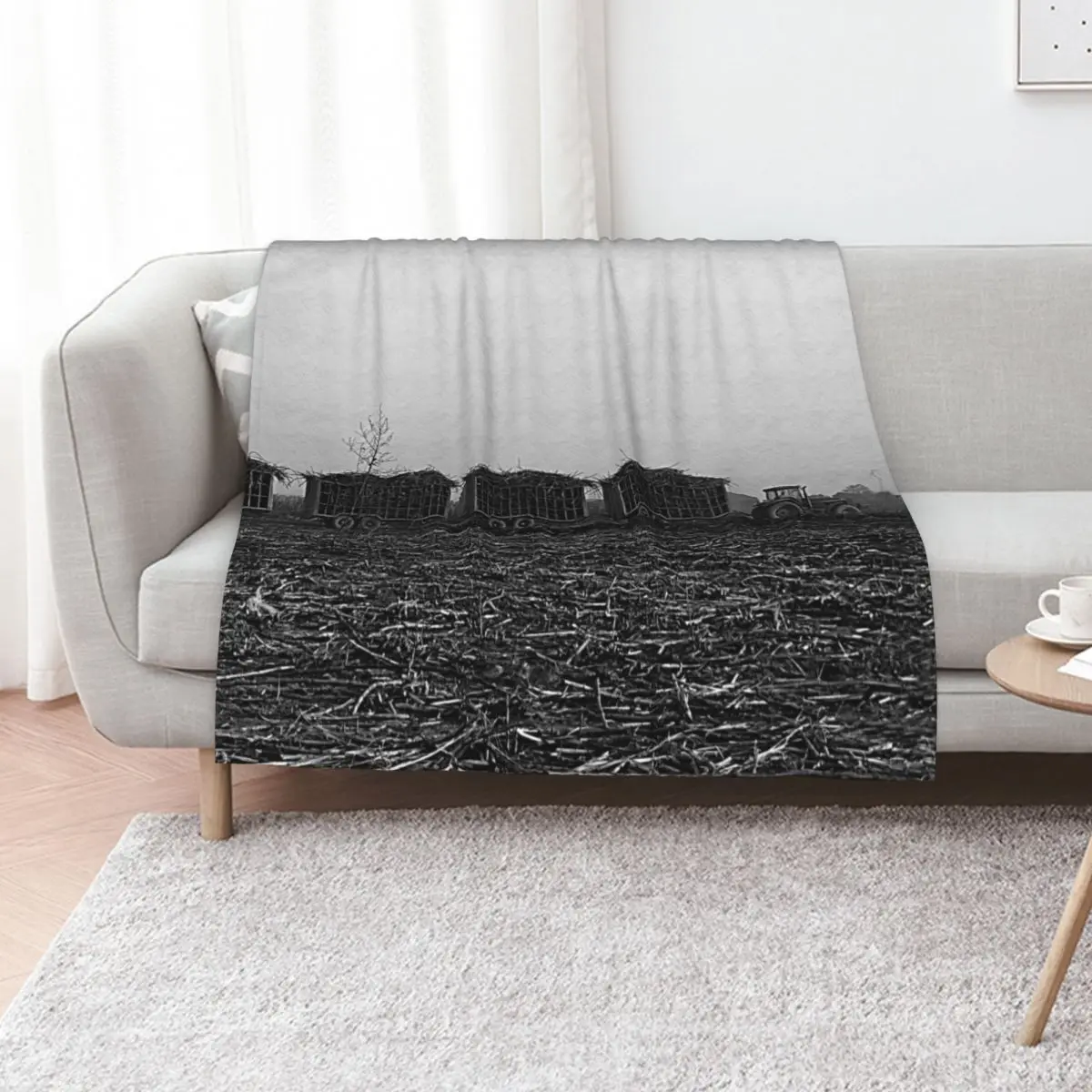 Sugar Cane Harvest, Harvested Field, Plantation, Panorama, Africa Throw Blanket Travel for babies Beautifuls Nap Blankets