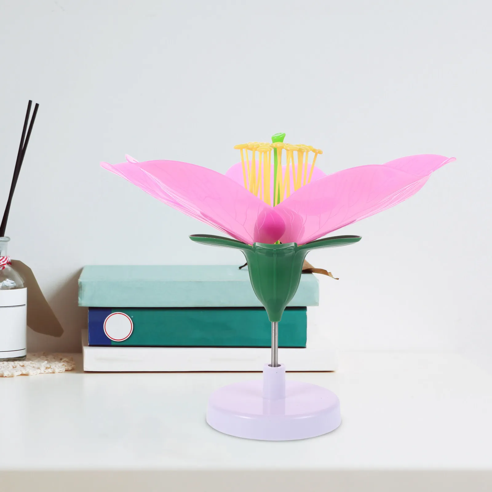 

Peach Blossom Simulated Flower Enlarged Structure Biological Teaching Tool Instructional Equipment for Middle High School