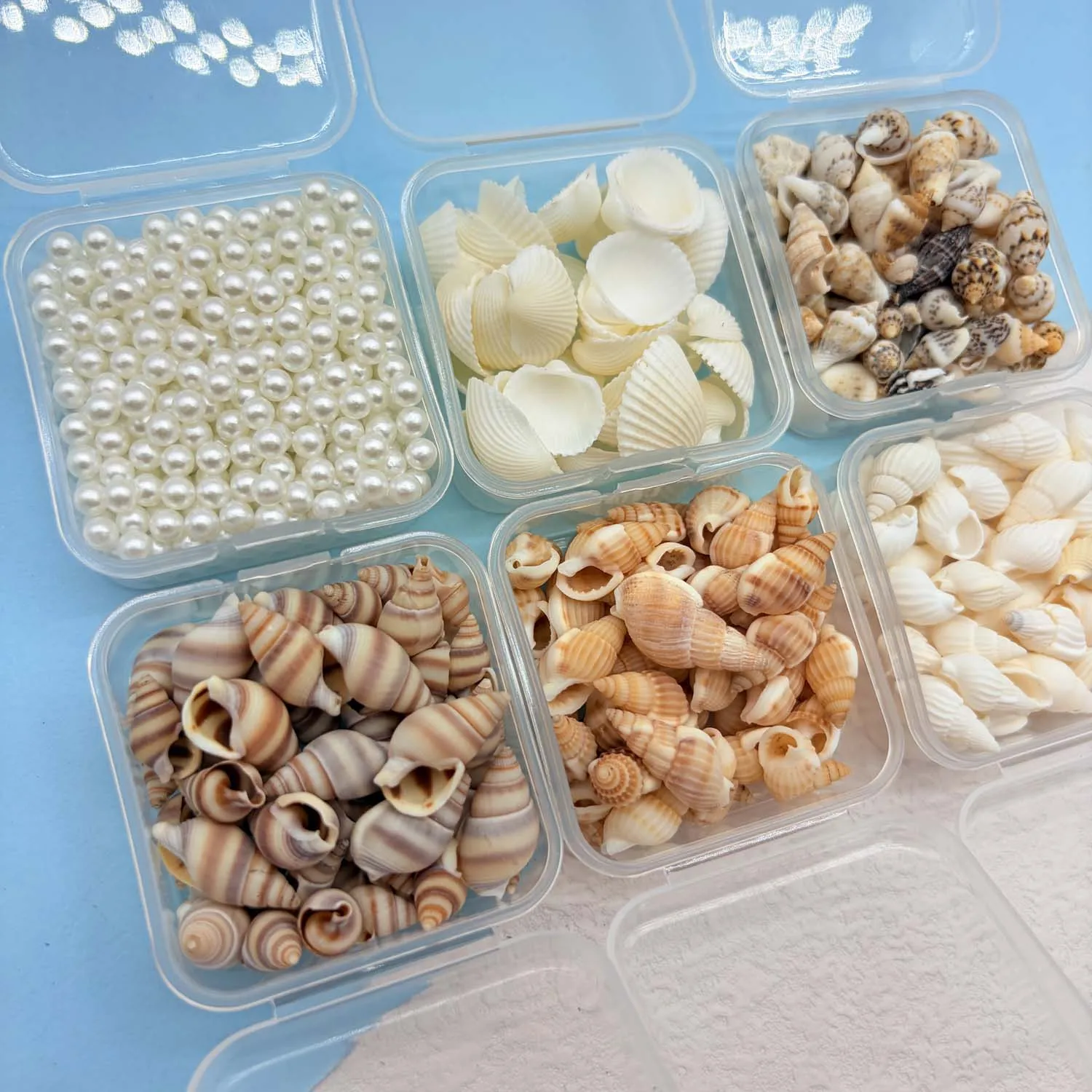 1BOX Mini Seashell Shell  Pearls for  Jewelry Candle Making Decoration Mini DIY Drift Bottle,Beach Wedding Home Decorations
