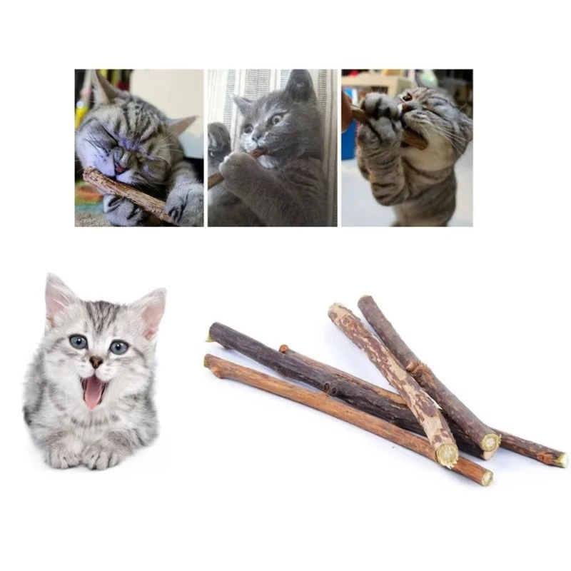 Catnip Chew Sticks 20Pcs, Natural Woodruff Cat Toys - for Teeth Cleaning & Kitten Entertainment image 5