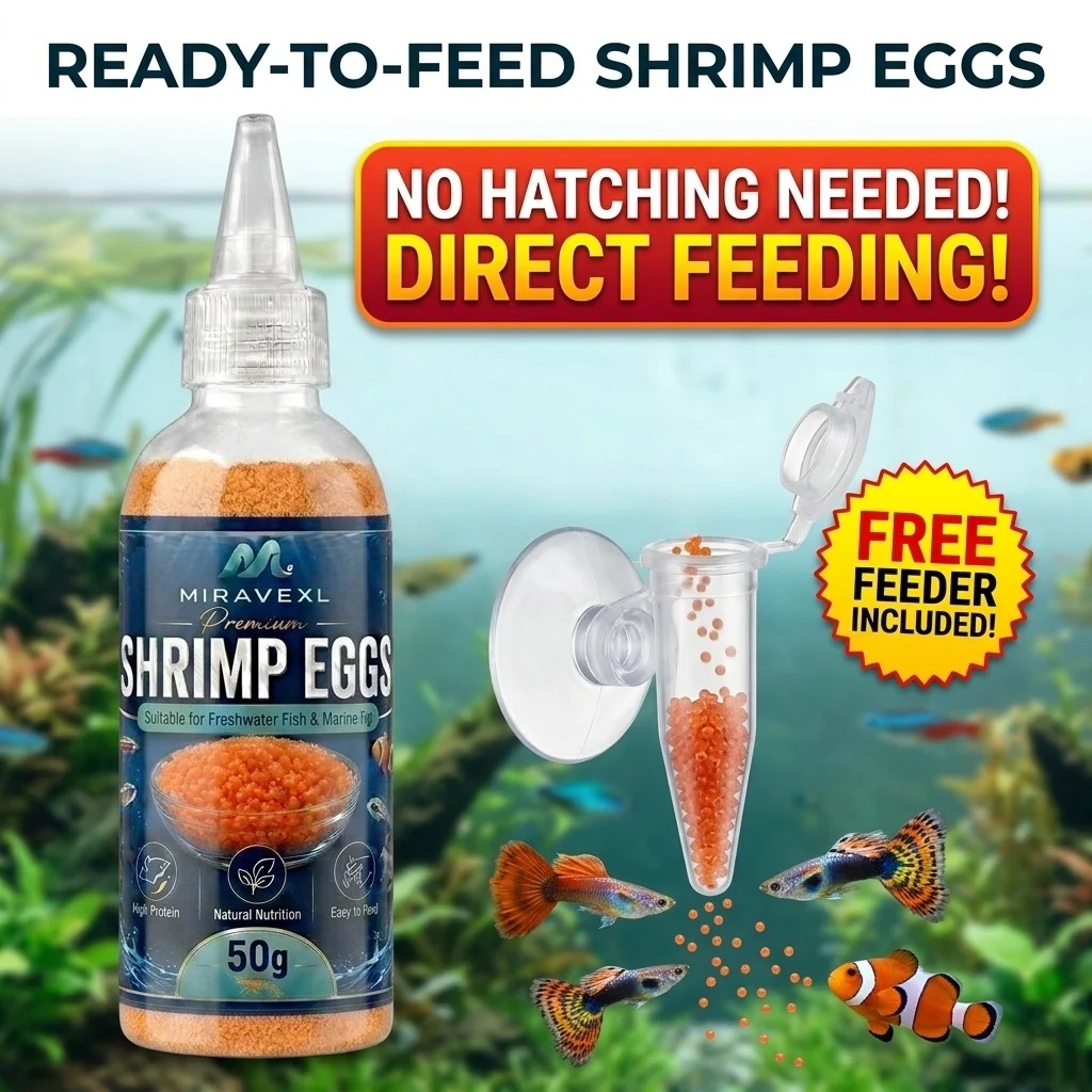 Huevos de Artemia para Acuario, Alimento para Peces y Set de Alimentación, Dispensador de Alimento para Alevines, Kit de Accesorios para Pecera, Dispensador de Quistes de Artemia