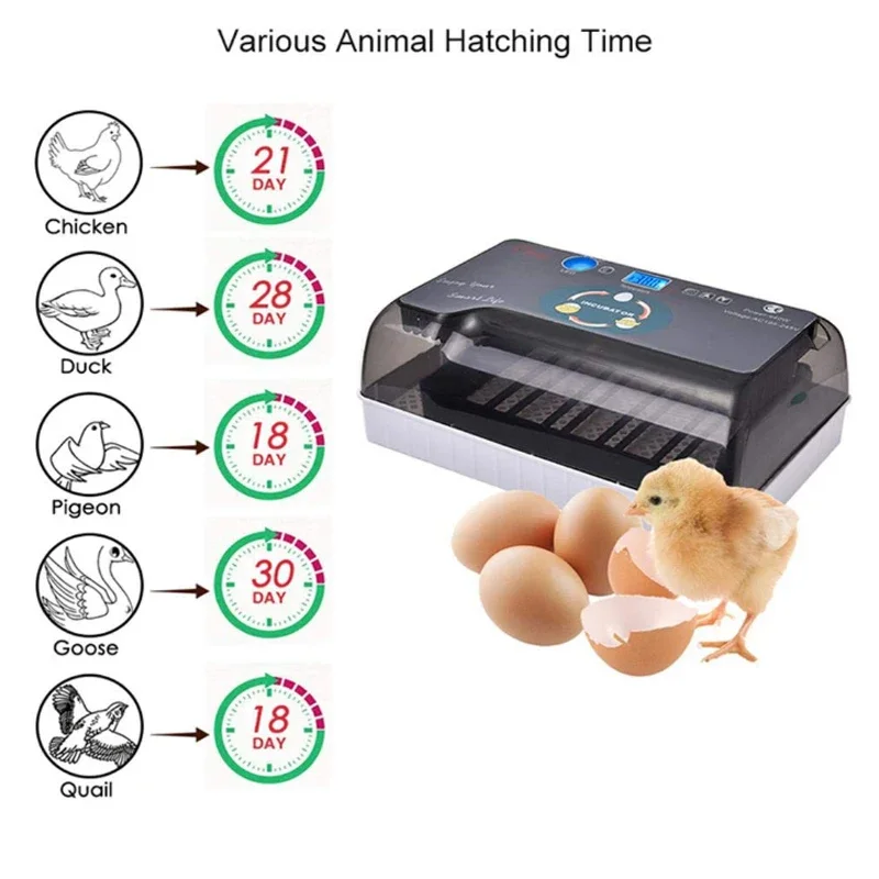 

Newest 12 Eggs Farm Hatchery Machine Temperature Control Automatic Egg Incubator Hatchery for Chicken Duck Quail Bird Brooder