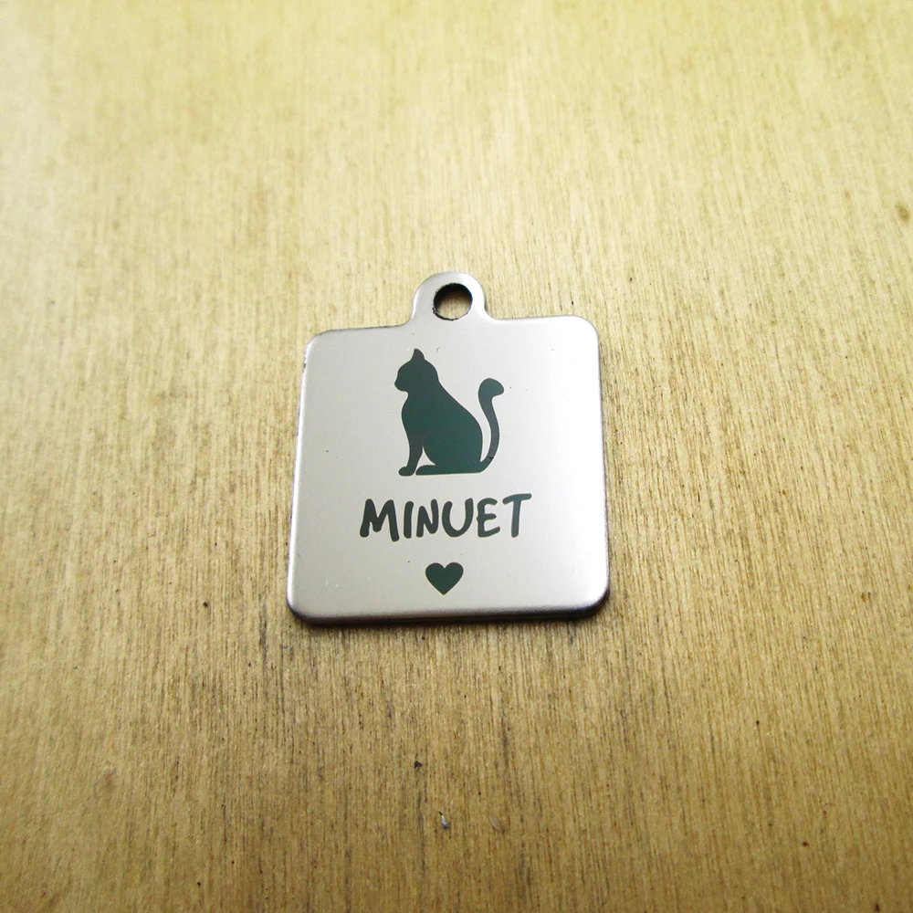 20pcs--Minuet pet mimi stainless steel charms Laser Engraved DIY Charms Pendants