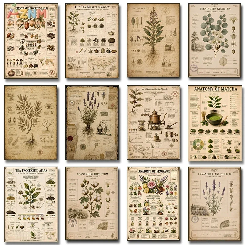 AZNM Vintage Botanical Herb Canvas Print, Retro Plant Tea Cocoa Lavender Chart Unframed Canvas Painting, Farmhouse Kitchen Wall