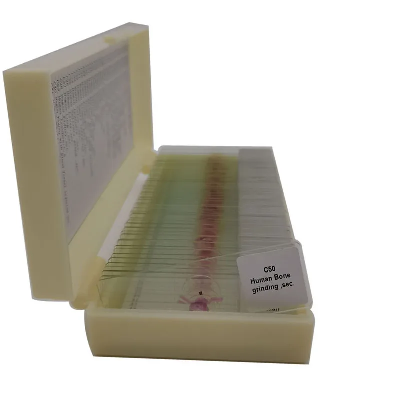 50Pcs Human Teaching Microscope Histology Prepared Slides for Education