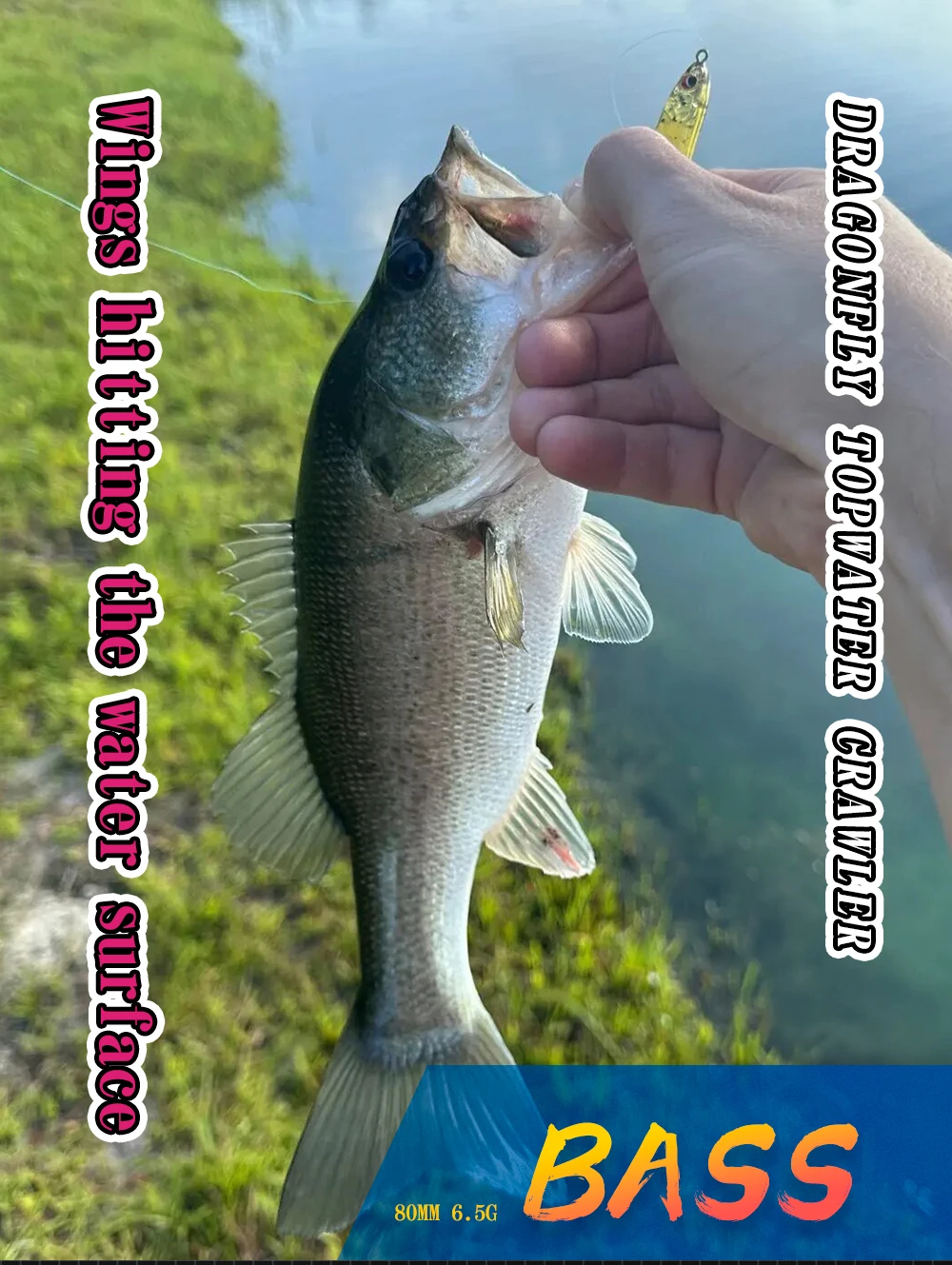 Hunt house schwimmende Top water Libelle Crawler Bleistift Angeln locken harten Köder 80mm 6,5g Süßwasser für Forellen Hecht Fisch Tackle – Detail 9